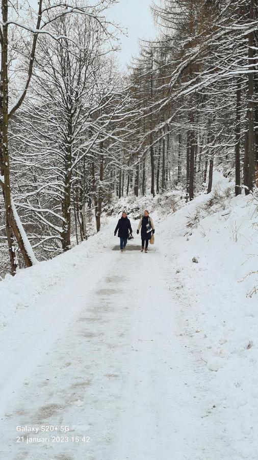 Vakantiehuisje Winterberg Eksteriør bilde