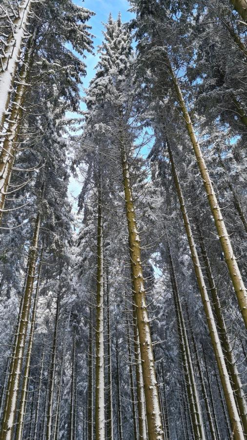 Vakantiehuisje Winterberg Eksteriør bilde