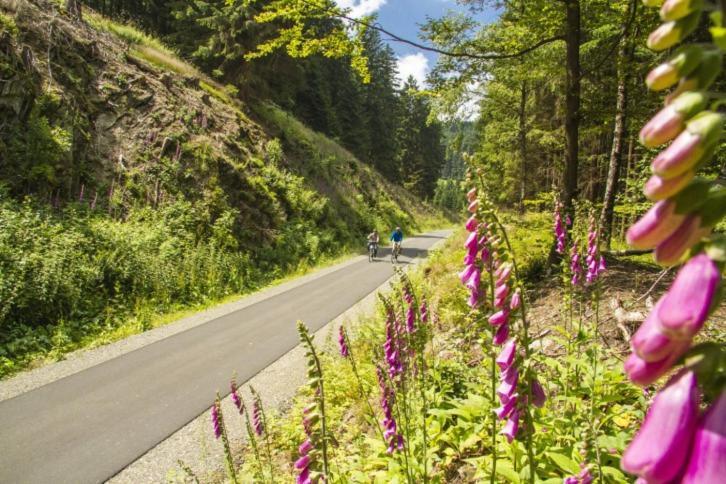 Vakantiehuisje Winterberg Eksteriør bilde